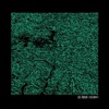 C.A.V.O.K (Nosig) - Single