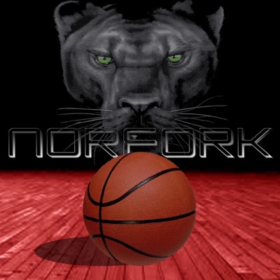 Shut It Down (Norfork Panthers) - Single
