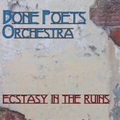 Bone Poets Orchestra - Sex Change Ray Gun