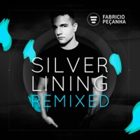 Plastic Fantastic (Robert Babicz Remix)