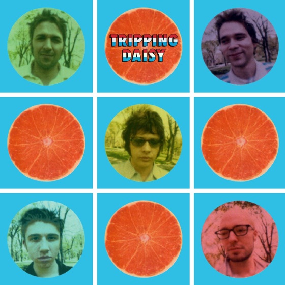 Cover artwork for Tragiverse