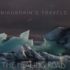 Birdbrain's Travels, Pt. 2