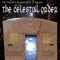 The Cosmic Code (Outro) - The Celestial Order lyrics