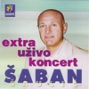 Šaban Šaulić - Hajde srećo moja (Uživo)