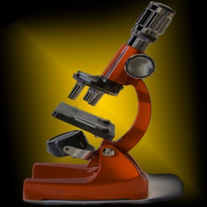 Medical Laboratory Technology - Spring '08 cover