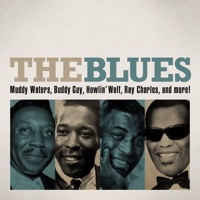 James Cotton - Hard Sometimes (feat. Delbert McClinton)