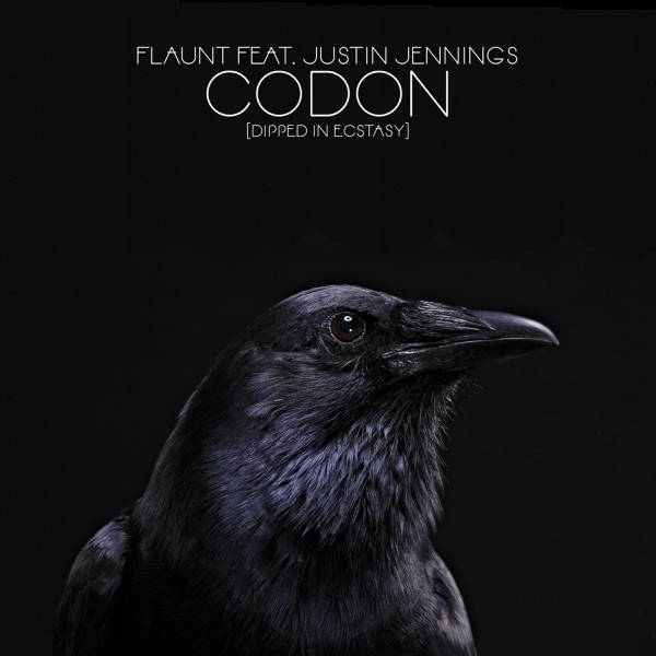 Codon (Dipped in Ecstasy) [4hero Radio Remix] [feat. Justin Jennings]