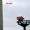 Senogul (Senogul), 2007