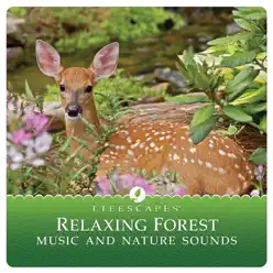 Relaxing Forest - Attila Fias Relaxing Forest - Attila Fias