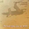 Gabriel Gorcea si Prietenii - Mai este mult