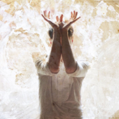 A Warning to the Curious