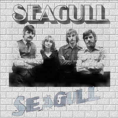 Seagull