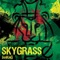 Pass the Kush (feat. Frankie Paul) - Skygrass lyrics