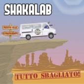 Tutto sbagliato artwork