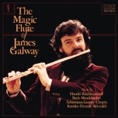 The Magic Flute of James Galway artwork