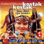 Sazlı Sözlü Oyun Havaları, Vol. 2 (Kostak Kostak)