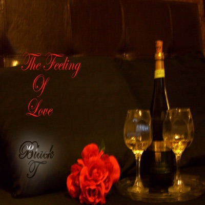 The Feeling of Love - Single