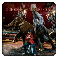 Down the Line - Codie Prevost