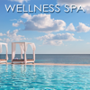 Wellness Spa – Spa Resort Soothing Music, Relaxing and Peaceful Songs with Ambient Sounds for Massage & Stress Relief - Echo of Light