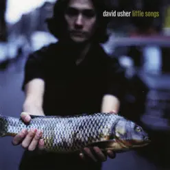 Little Songs - David Usher