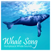 Humpback Whale Sounds - Whale Song