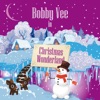BOBBY & SUE Peggy Sue Bobby Vee in Christmas Wonderland