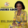 Enkakra Enkakra - Evg Diana Asamoah