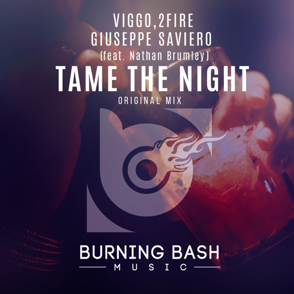 Tame the Night (feat. Nathan Brumley)