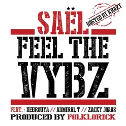 Feel the Vybz (feat. Debrouya, Admiral T & Zacky Joans) [Hosted By Krazy] - Single - Sael