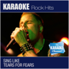 The Karaoke Channel - Sing Like Tears for Fears - The Karaoke Channel