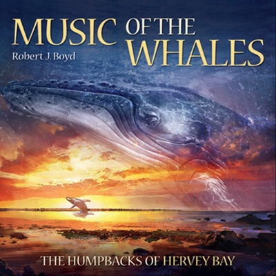 Music of the Whales: The Humpbacks of Hervey Bay