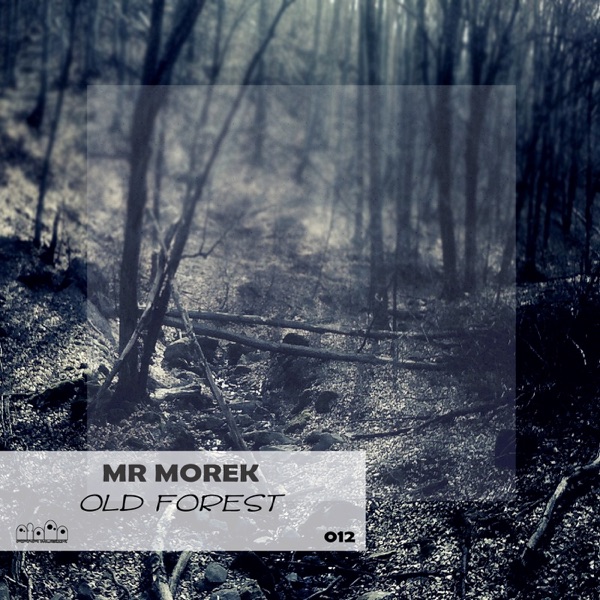 Old Forest - Single