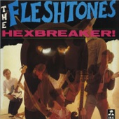 The Fleshtones - Right Side Of A Good Thing