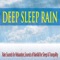 A Gentle Breeze Right Before a Rain Fall - Robbins Island Music Group lyrics