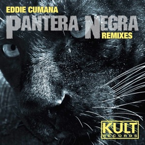 Kult Records Presents "Pantera Negra (Remixes)"