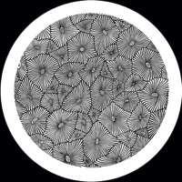 VER105 12 - EP - I:Cube