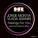 Feelings for You (Jerome Robins Remix) - Single