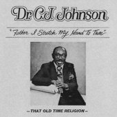 Dr. C.J. Johnson - You Better Run To the City of Refuge