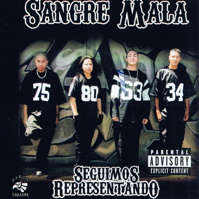 Seguimos Representando