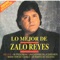 Una Lágrima en la Garganta - Zalo Reyes lyrics