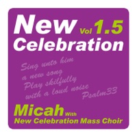 New Celebration Vol.1.5