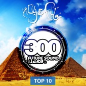 Future Sound of Egypt 300 - Top 10 artwork