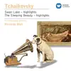 The Sleeping Beauty Suite, Op.66a: IV. Panorama