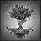 Trust (feat. Nanoviola) - Ganju lyrics