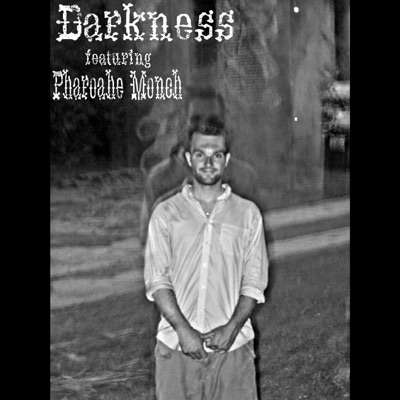 Darkness (feat. Pharoahe Monch) - Single