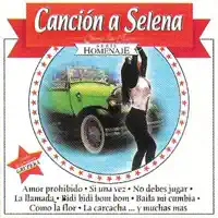 Mega Mix Selena: Amor Prohibido  La Carcacha  No Debes Jugar  Como La Flor  Bidi Bidi Bom Bom  Baila Mi Cumbia  La Techno Cumbia — Araceli Y La Furia Grupera