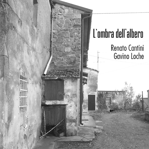 L'ombra dell'albero