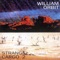 Ruby Heart - William Orbit lyrics