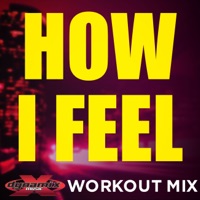 How I Feel (feat. Amanda Blue) - Single - DJ DMX