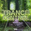 Rocking (Extended Mix)
